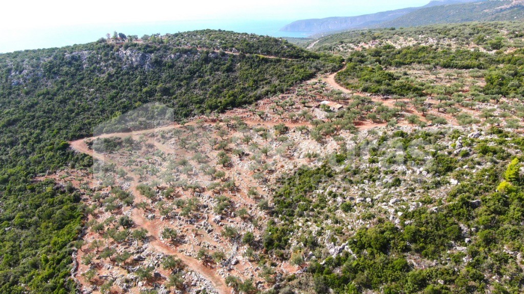 Αγροτεμάχια 21.721,76 τ.μ. προς πώληση, Προσήλιο Λεύκτρου