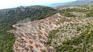 Αγροτεμάχια 21.721,76 τ.μ. για πώληση