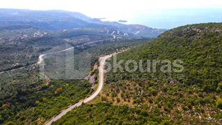 Αγροτεμάχια 21.721,76 τ.μ. προς πώληση, Προσήλιο Λεύκτρου-thumb-14