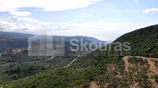 Αγροτεμάχια 21.721,76 τ.μ. προς πώληση, Προσήλιο Λεύκτρου-thumb-15