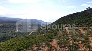 Αγροτεμάχια 21.721,76 τ.μ. προς πώληση, Προσήλιο Λεύκτρου-thumb-12