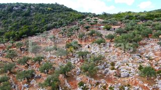 Αγροτεμάχια 21.721,76 τ.μ. προς πώληση, Προσήλιο Λεύκτρου-thumb-23