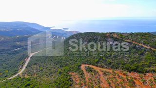 Αγροτεμάχια 21.721,76 τ.μ. προς πώληση, Προσήλιο Λεύκτρου-thumb-3