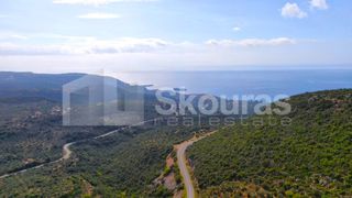 Αγροτεμάχια 21.721,76 τ.μ. προς πώληση, Προσήλιο Λεύκτρου-thumb-10