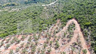 Αγροτεμάχια 21.721,76 τ.μ. προς πώληση, Προσήλιο Λεύκτρου-thumb-20