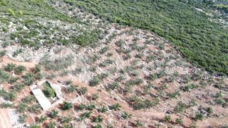 Αγροτεμάχια 21.721,76 τ.μ. προς πώληση, Προσήλιο Λεύκτρου-thumb-6