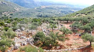 Αγροτεμάχια 21.721,76 τ.μ. προς πώληση, Προσήλιο Λεύκτρου-thumb-24