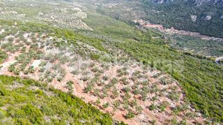 Αγροτεμάχια 21.721,76 τ.μ. προς πώληση, Προσήλιο Λεύκτρου-thumb-11