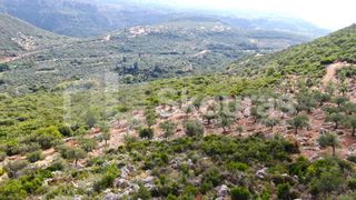 Αγροτεμάχια 21.721,76 τ.μ. προς πώληση, Προσήλιο Λεύκτρου-thumb-22