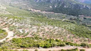 Αγροτεμάχια 21.721,76 τ.μ. προς πώληση, Προσήλιο Λεύκτρου-thumb-13