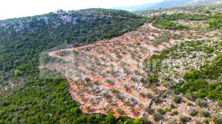 Αγροτεμάχια 21.721,76 τ.μ. προς πώληση, Προσήλιο Λεύκτρου-thumb-8