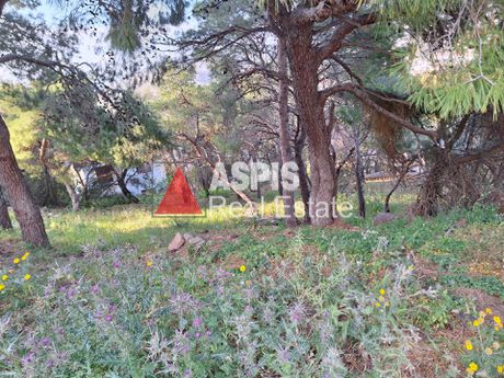 Οικόπεδο 783τ.μ. για πώληση-Σαρωνίδα