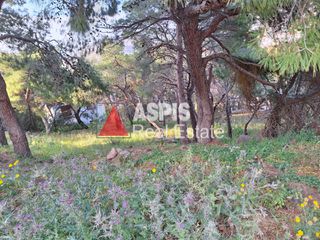 Οικόπεδο 783 τ.μ. για πώληση