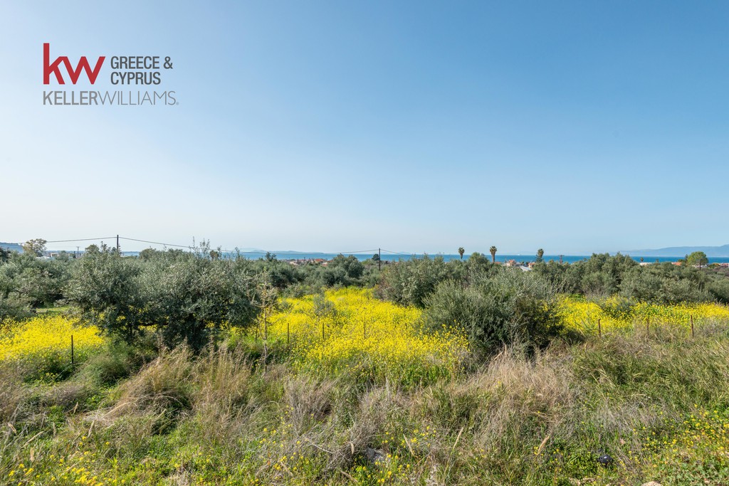 Οικόπεδο 1.452 τ.μ. προς πώληση, Μιντιλόγλι