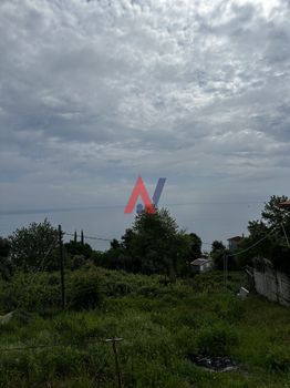 Οικόπεδο 415τ.μ. για πώληση-Μελίβοια » Κάτω πολυδένδρι