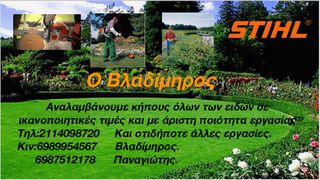 Ο Βλαδήμιρος