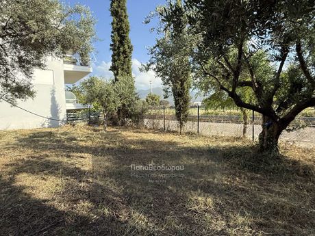 Land plot 550sqm for sale-Patra