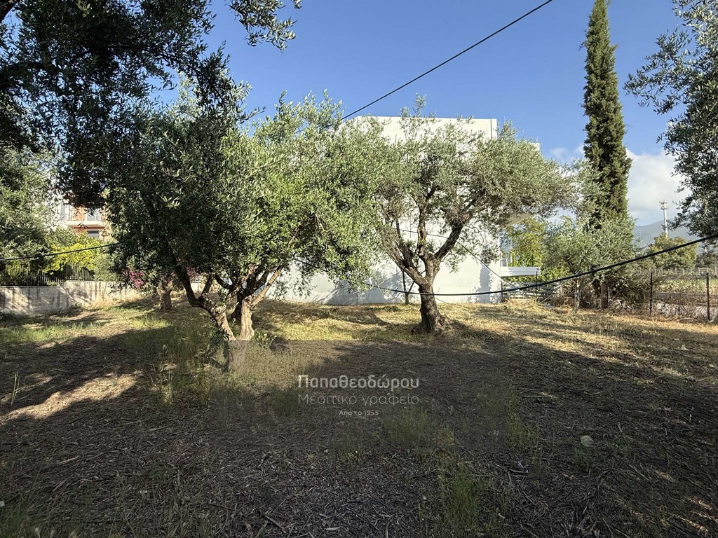Οικόπεδο 550 τ.μ. προς πώληση, Λάγγουρα