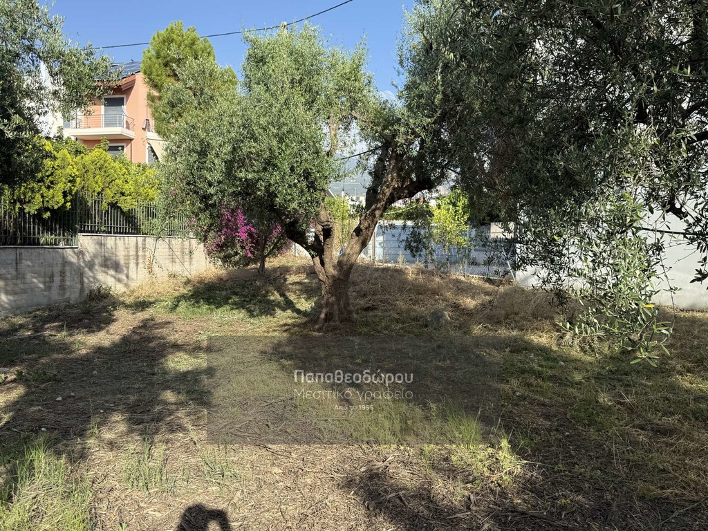 Οικόπεδο 550 τ.μ. προς πώληση, Λάγγουρα