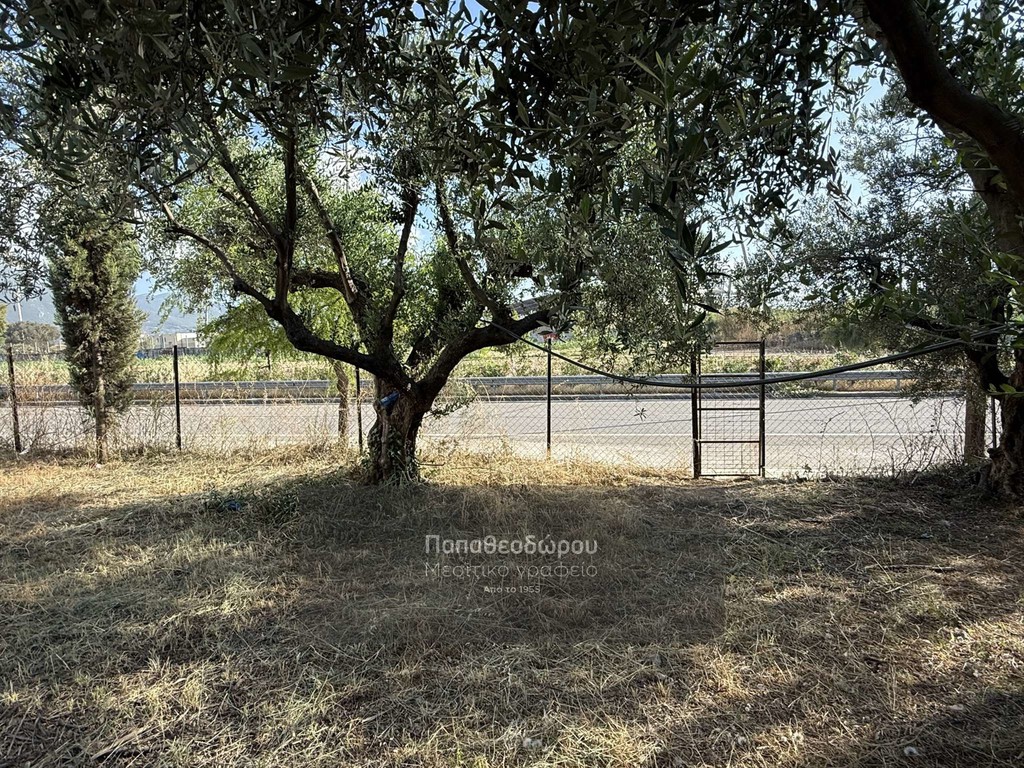 Οικόπεδο 550 τ.μ. προς πώληση, Λάγγουρα