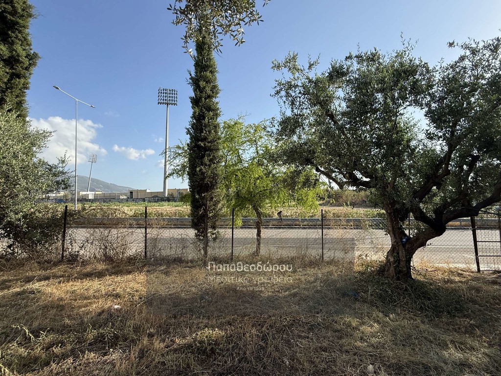 Οικόπεδο 550 τ.μ. προς πώληση, Λάγγουρα