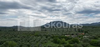 Μονοκατοικία 110 τ.μ. για πώληση, Μεσσηνία, Μελιγαλά-thumb-26