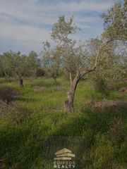 Αγροτεμάχια 4.433 τ.μ. για πώληση, Εύβοια, Λιχάδα-thumb-2