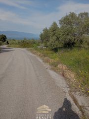 Αγροτεμάχια 4.433 τ.μ. για πώληση