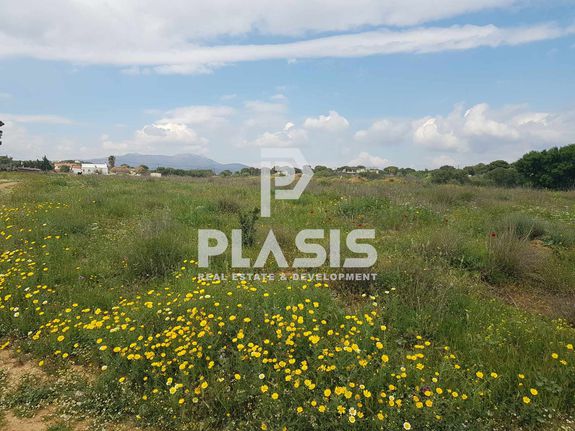 Land plot 1.014 sqm for sale, Athens - East, Marathonas