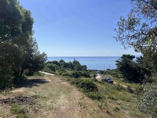 Αγροτεμάχια 9.278 τ.μ. για πώληση