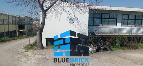 Αποθήκη 1.350τ.μ. για ενοικίαση-Κρυονέρι