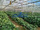 Craft space 3.000sqm for sale-Marathonas