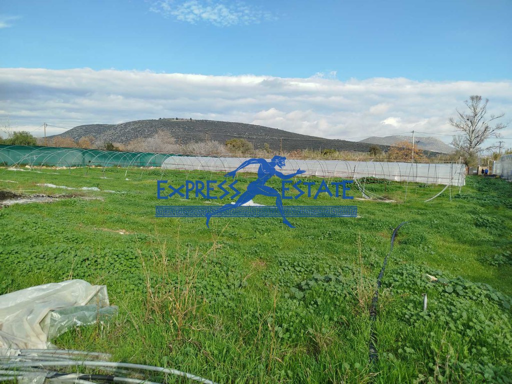 Βιοτεχνικός χώρος 4.000 τ.μ. πρός πώληση, Αθήνα - Ανατολικά Προάστια, Μαραθώνας