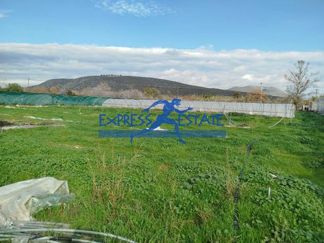 Βιοτεχνικός χώρος 4.000τ.μ. για πώληση-Μαραθώνας