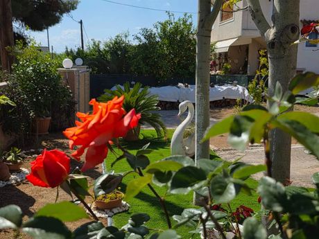 Μονοκατοικία 150τ.μ. για πώληση-Ληλάντιο » Πανόραμα