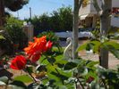 Μονοκατοικία 150τ.μ. για πώληση-Ληλάντιο » Πανόραμα
