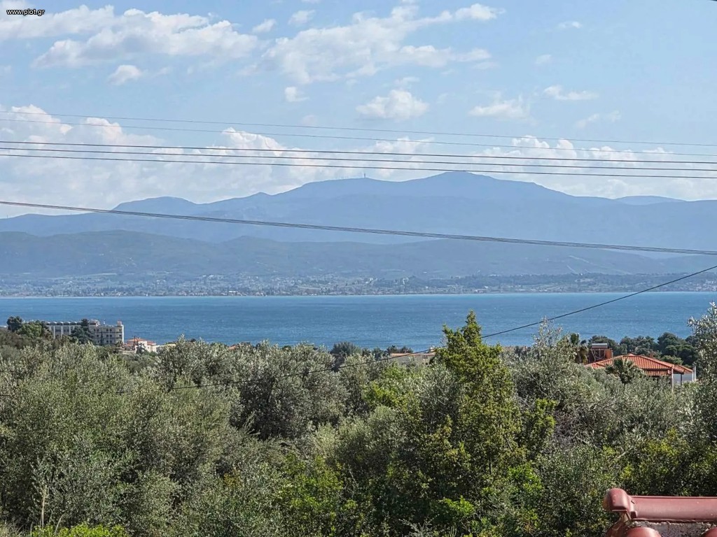 Μονοκατοικία 150 τ.μ. πρός πώληση, Εύβοια, Ληλάντιο