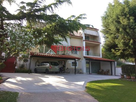 Detached home 245sqm for sale-Lefkonas » Center