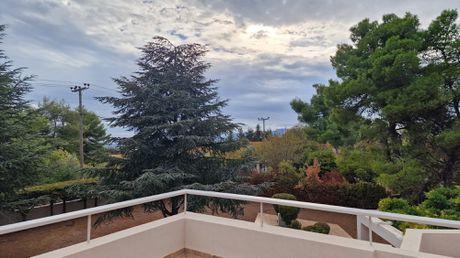 Μονοκατοικία 340 τ.μ. για ενοικίαση