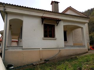 Μονοκατοικία 188 τ.μ. για πώληση, Πέλλα, Αριδαία-thumb-3