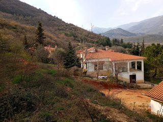 Μονοκατοικία 188 τ.μ. για πώληση, Πέλλα, Αριδαία-thumb-7