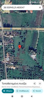 Αγροτεμάχια 15.000 τ.μ. για πώληση