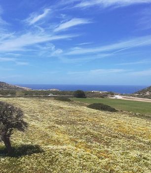Land plot 11.620sqm for sale-Antiparos » Feira