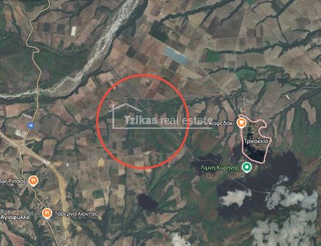Αγροτεμάχια 40.000τ.μ. για πώληση-Χασιές » Τρικοκκιά
