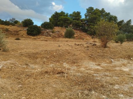 Οικόπεδο 568τ.μ. για πώληση-Μαρκόπουλο » Κέντρο