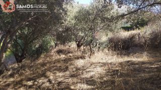 Μονοκατοικία 63,43 τ.μ. για πώληση, Ν. Σάμου, Σάμος-thumb-40