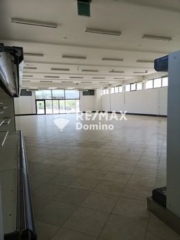Store 600 sqm for rent
