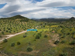 Αγροτεμάχια 3.930 τ.μ. για πώληση, Αργολίδα, Νέα Τίρυνθα-thumb-5