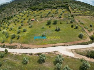Αγροτεμάχια 3.930 τ.μ. για πώληση, Αργολίδα, Νέα Τίρυνθα-thumb-13