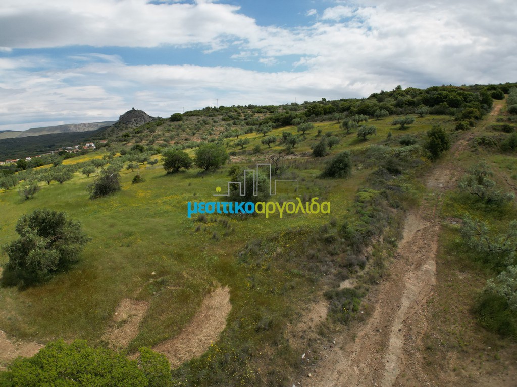 Αγροτεμάχια 3.930 τ.μ. προς πώληση, Νέα Τίρυνθα